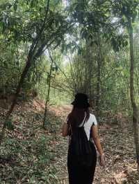 น้ำตกลับเชียงใหม่🍃