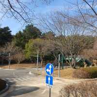 12월에도 단풍 볼 수 있는 울산대공원