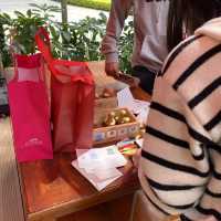 廈門∣南普陀寺∣閩南千年佛教聖地