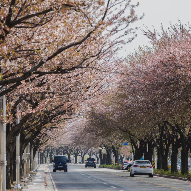 萬壽台噴水公園：平壤的地標性戶外景點