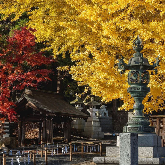 Nanyo Shi Yamagat japan