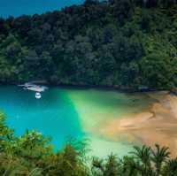 Tranquil Trails and Sweet Treats: Discovering the Havelock Link Track 