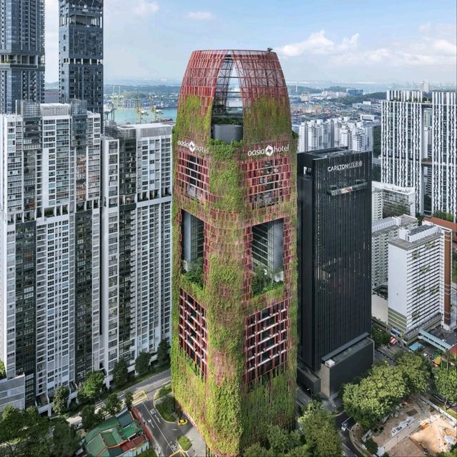 Oasia Hotel Downtown Singapore