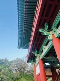 【韓国旅行】慶州／水面に映る幻想的な韓国最大の木造橋