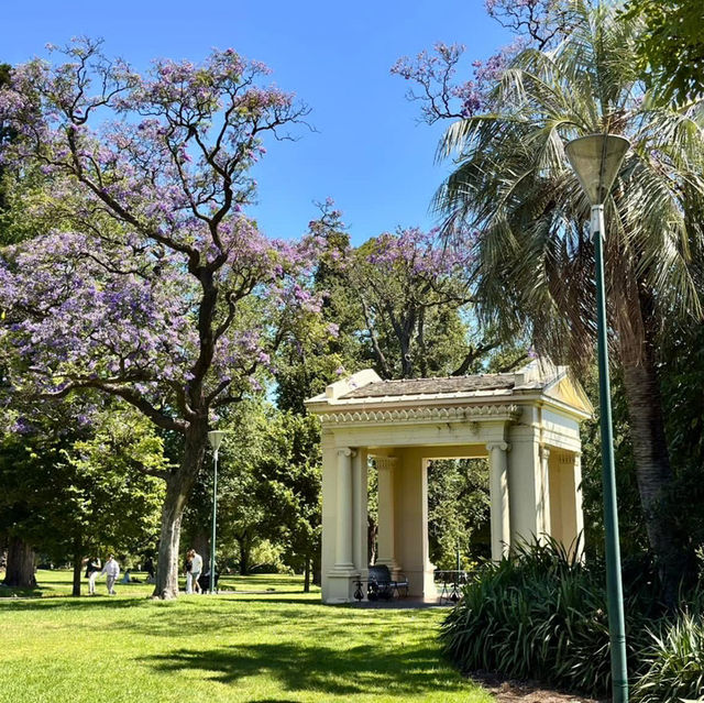 Serene Escape: Fitzroy and Treasury Gardens in East Melbourne