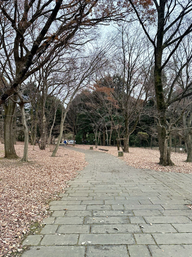 【うつのみや文化の森】