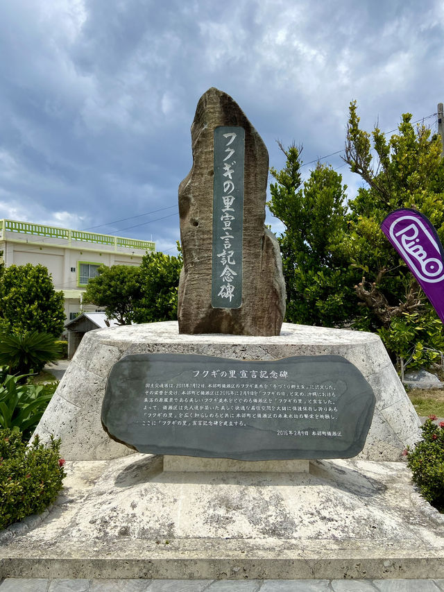 【沖縄旅行】 パワースポット✨️樹齢数百年のフクギ並木