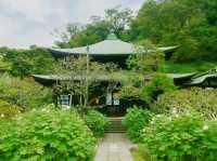 鎌倉🇯🇵瑞泉寺