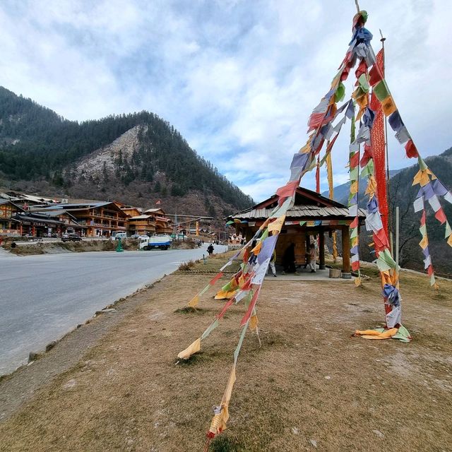 My Chengdu and Jiuzhaigou trip at the end of 2023