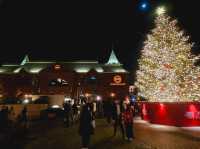 A Christmas illumination at Yebisu Garden