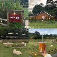 รวมที่เที่ยว ‘ดาลัด’ ในบรรยากาศสุดอบอุ่นช่วงต้นปี