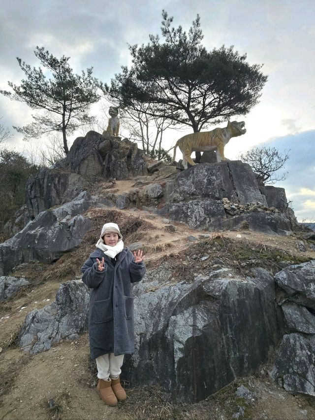 호랑이 기운받는 봉화에서 특별한 해맞이💛