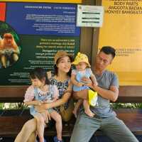 LOKAWI WILDLIFE PARK 