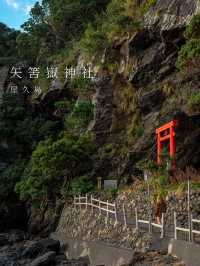 【矢筈嶽神社　📍鹿児島•屋久島】