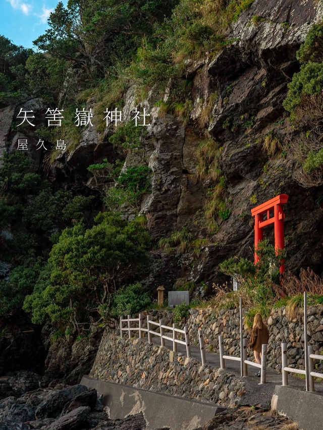 【矢筈嶽神社　📍鹿児島•屋久島】