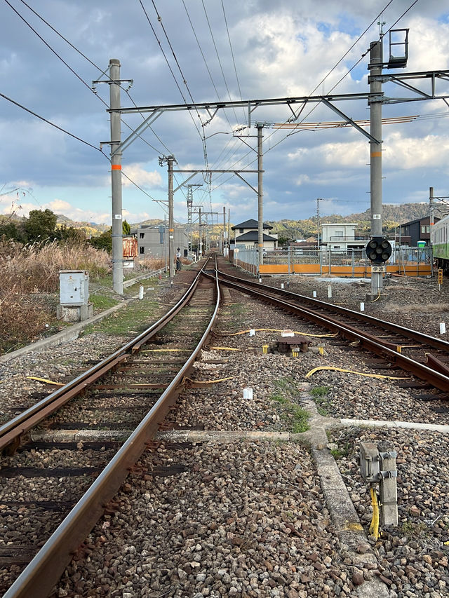 日本和歌山 貓站長貓列車貴志站🚃