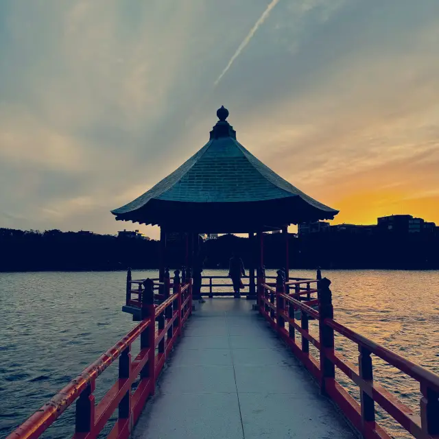 福岡舞鶴公園：城市中的綠意與歷史