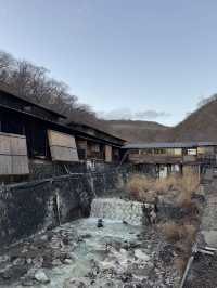 【栃木】温泉好きなら絶対に行ってほしい‎🤍1300年の歴史の元湯