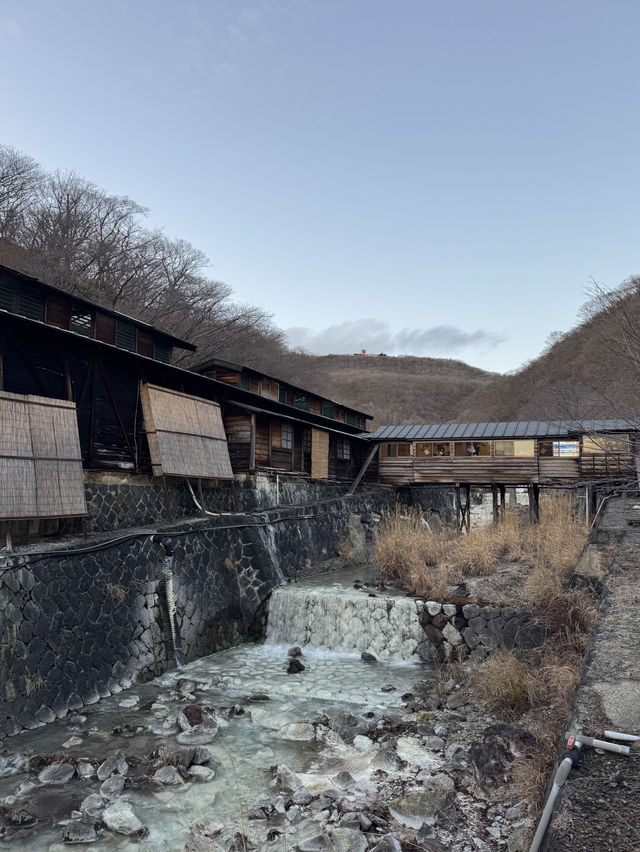 【栃木】温泉好きなら絶対に行ってほしい‎🤍1300年の歴史の元湯