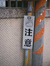 🐌 蝸牛巷：歴史とモダンが交差する台南の隠れ家スポット 🏘️
