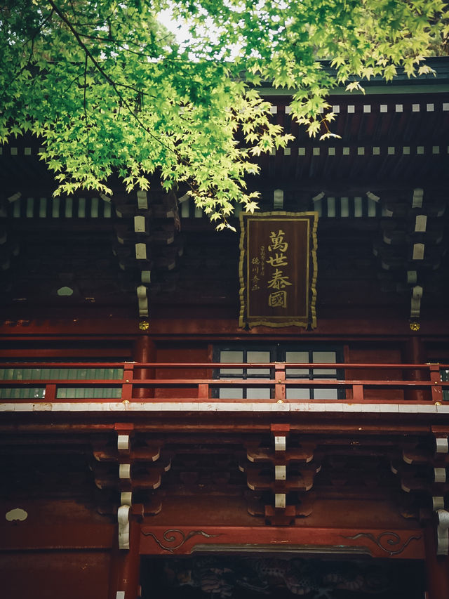 茨城のパワースポット⛩御岩神社