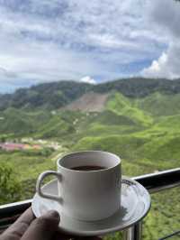 The tea house serves a variety of tea blends
