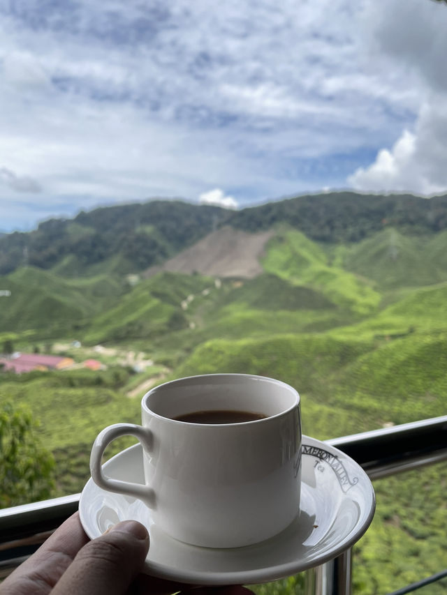 The tea house serves a variety of tea blends