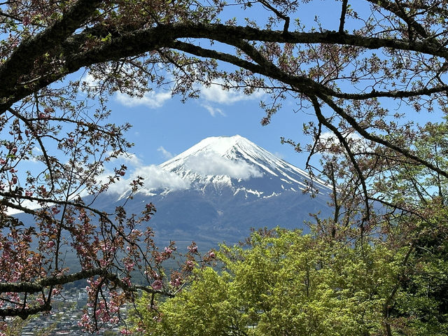 Hiking to Chureito Pagoda: A Mount Fuji Adventure with a View