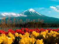Hiking Around Lake Kawaguchiko: A Scenic Mount Fuji Escape