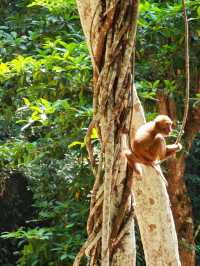 Nature’s Paradise: A Weekend Getaway to Erawan National Park, Thailand