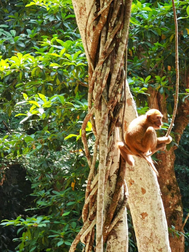 Nature’s Paradise: A Weekend Getaway to Erawan National Park, Thailand
