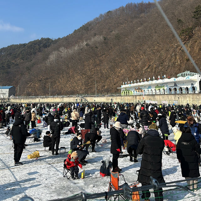 단 3주간만 진행하는 산천어 축제!