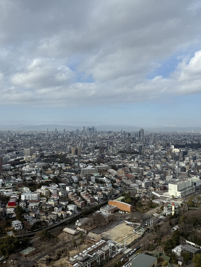 Ascend A Nagoya Landmark, The Higashiyama Sky Tower 🗼🏙️🇯🇵