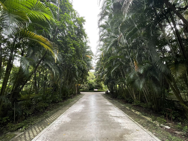 【台北旅行】無料で入れる臺北植物園が激アツ❤️‍🔥
