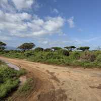 Amboseli National Park Kimana Gate 🇰🇪