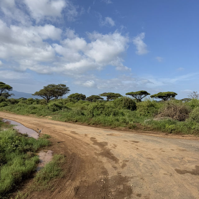Amboseli National Park Kimana Gate 🇰🇪