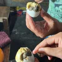 蘇比克灣旅遊