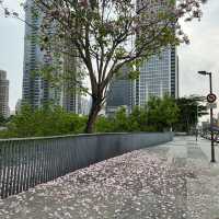 台灣類似中央公園