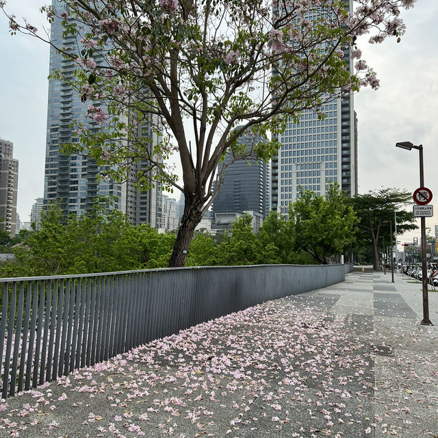 台灣類似中央公園