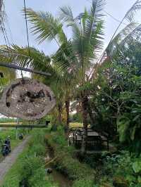 Joglo village of Subak Sok Wayah