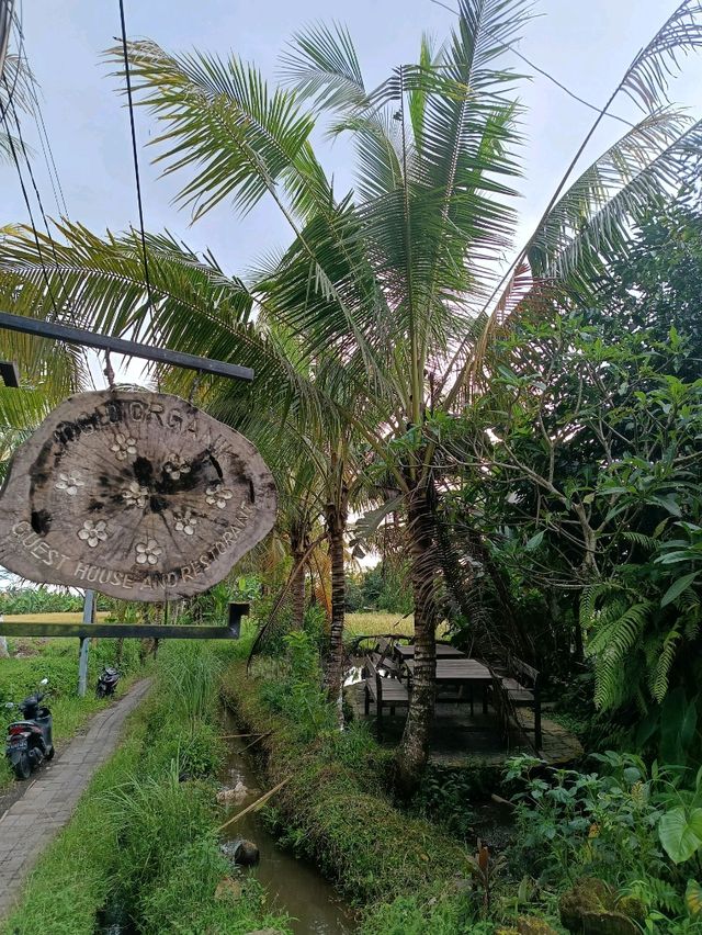 Joglo village of Subak Sok Wayah