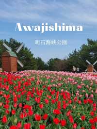 【カラフルなチューリップ🌷の絨毯がみれる！】
