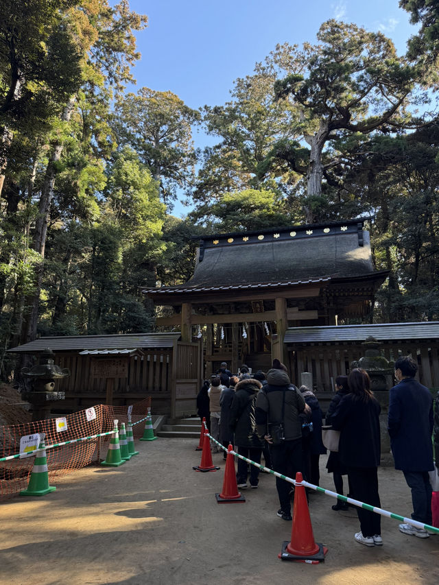 歴史と自然が融合する場所、『鹿島神宮』の魅力⛩️