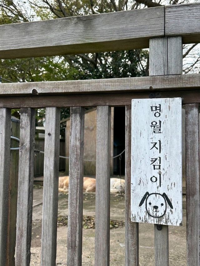 [제주] 추억이 떠오르는 카페✨️