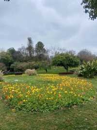 🏞️☺️石林生態公園｜雲林昆明好去處🥾