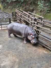 Nagasaki Bio Park