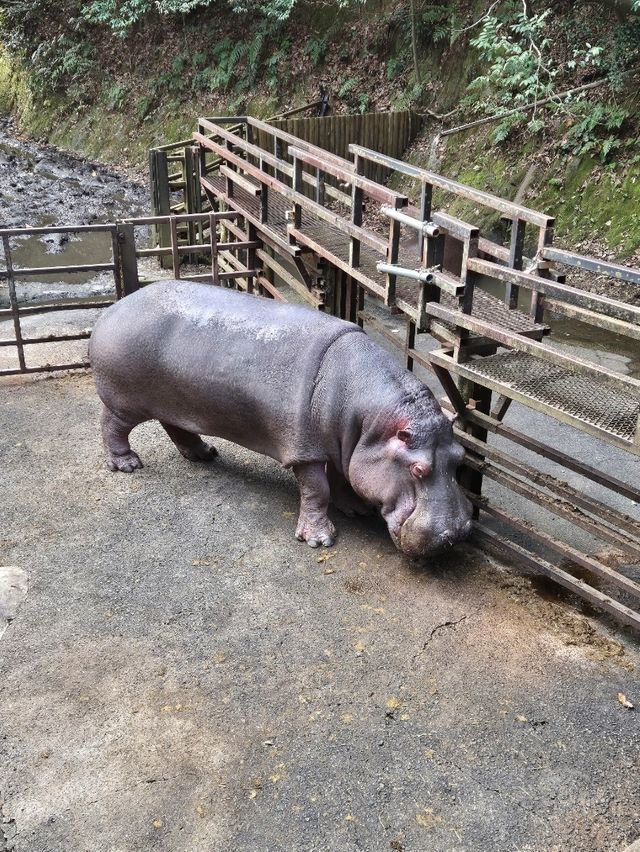 Nagasaki Bio Park