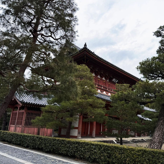 聖福寺：在“靜謐日式禪院”中品味枯山水的哲學 🌿🧘‍♀️