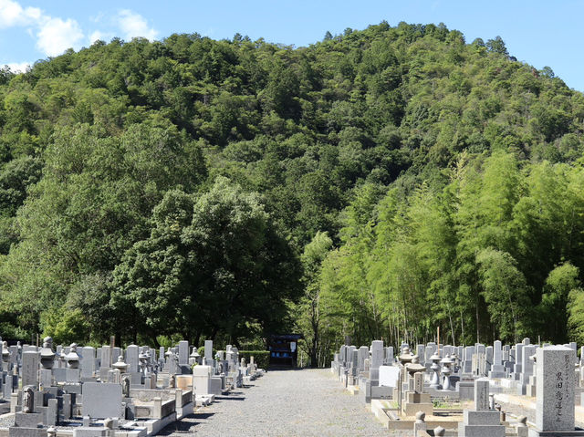 A Hauntingly Beautiful Tribute: Adashino Nenbutsu-ji Temple