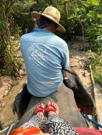 Pattaya Elephant Village 🐘🎋